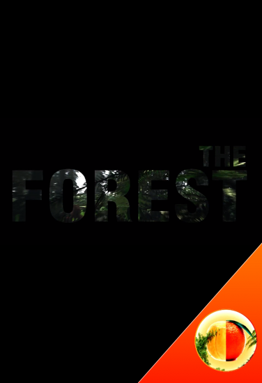 Лес / The Forest [v 0.06] FIX (2014) PC | RePack от Mabrikos